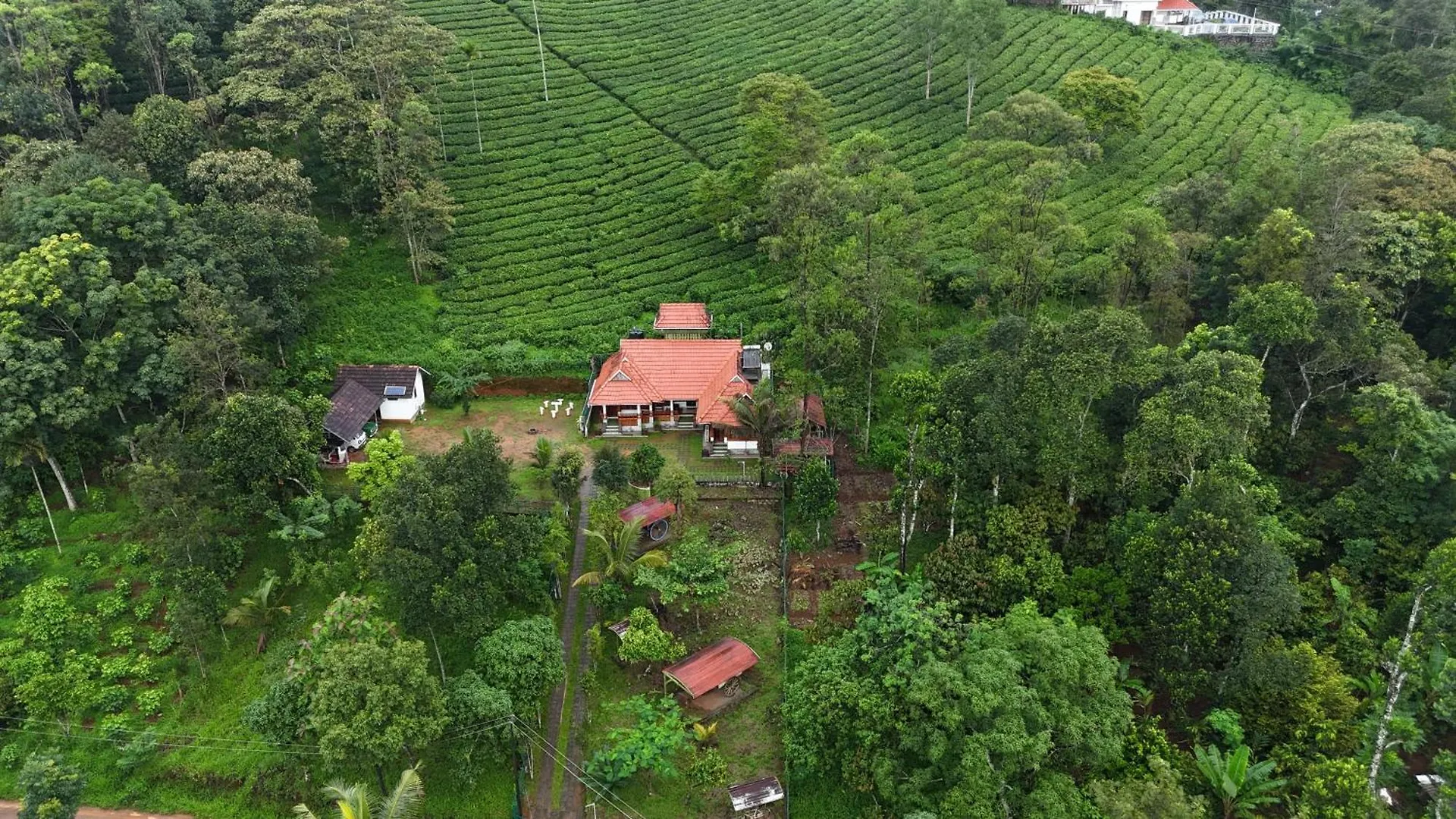 Holiday home Traditional Villa Munnar India
