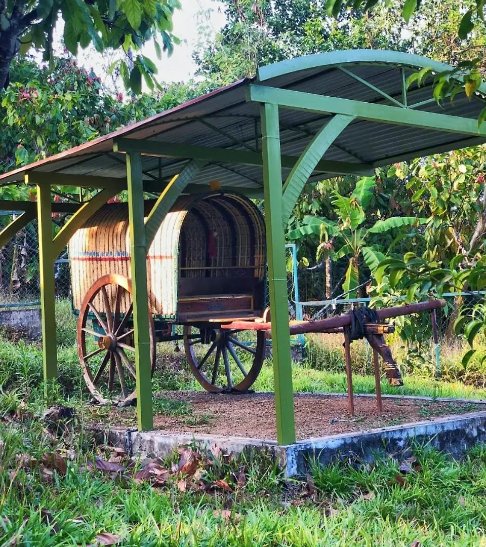 Traditional Villa Munnar India